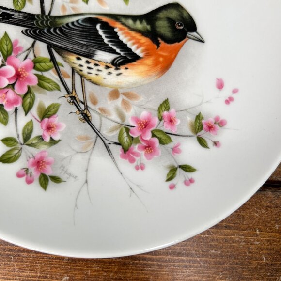 Kaiser Decorative Bird Plate By H. Auge Bergfink Design 8" Dia Floral Pink - Picture 4 of 10